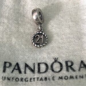 Authentic Pandora “Moments” Charm